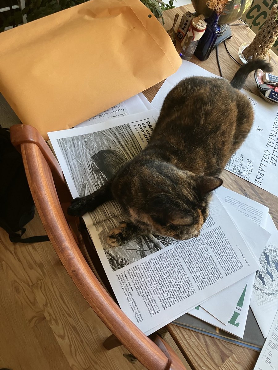 Want to be a cool cat and buy a copy of Issue 1? 🐱 You can snag a copy from haters cafe's webstore (link below). Also, subscribe to our Patreon and get Issue 2 when it launches.