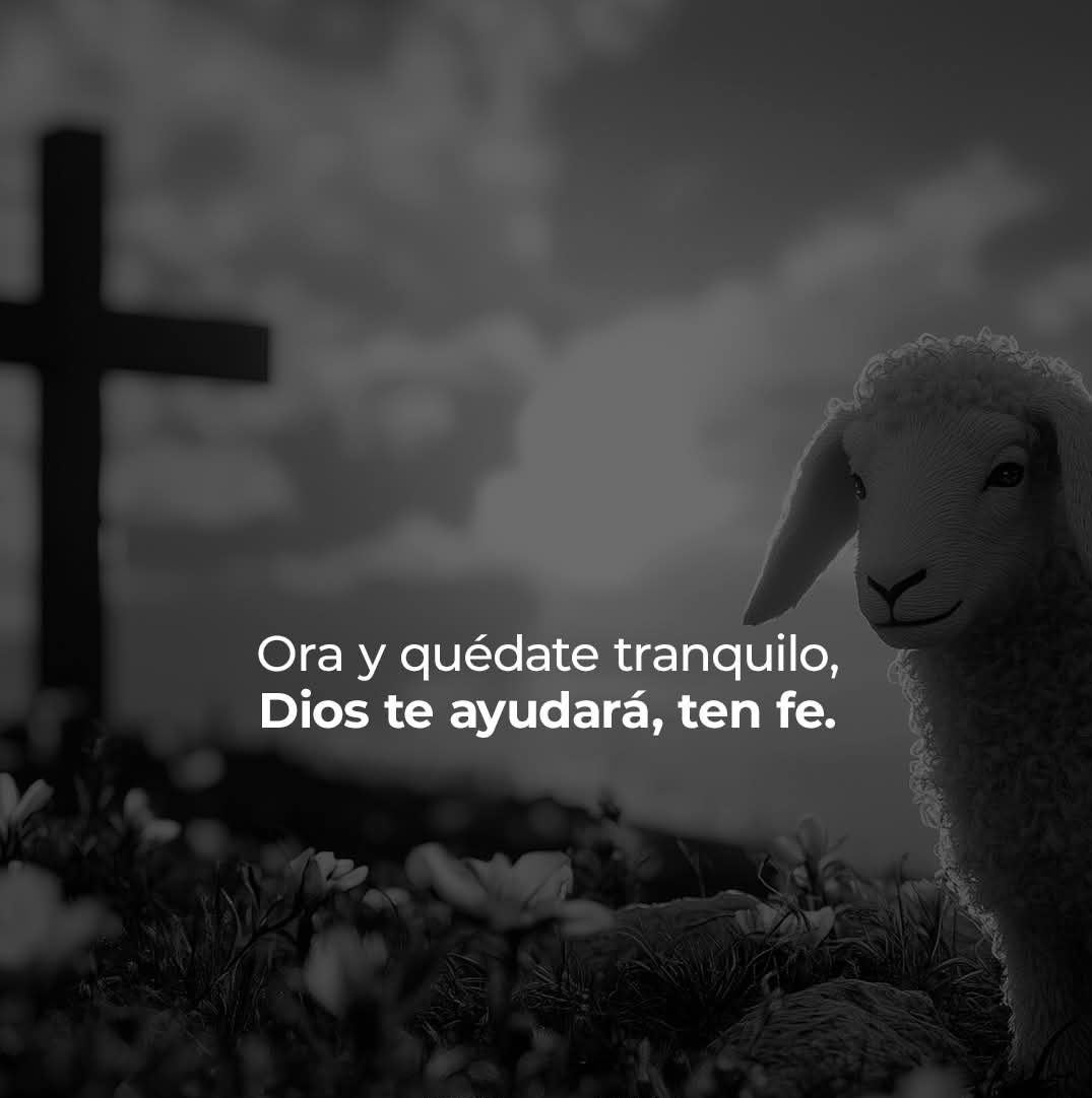 Biblia_Linea's tweet image. 