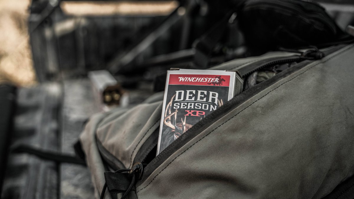 winchester's tweet image. Make the most of the off-season with these deer scouting tips:
1️⃣ Track Deer Movement: Look for fresh sign—scrapes, rubs, and tracks—to learn where they’re active.
2️⃣ Scout Feeding Areas: Focus on food sources like acorn trees and fields to find where deer are foraging.
3️⃣ Set…