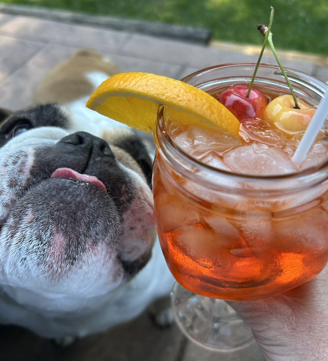 Trace_GinjNinja's tweet photo. Too much negative crap on here so I’m posting how my day is going with Miss Charlotte #vacay #staycay #BC #Bulldogs #aperol https://t.co/OI7DiatX0z