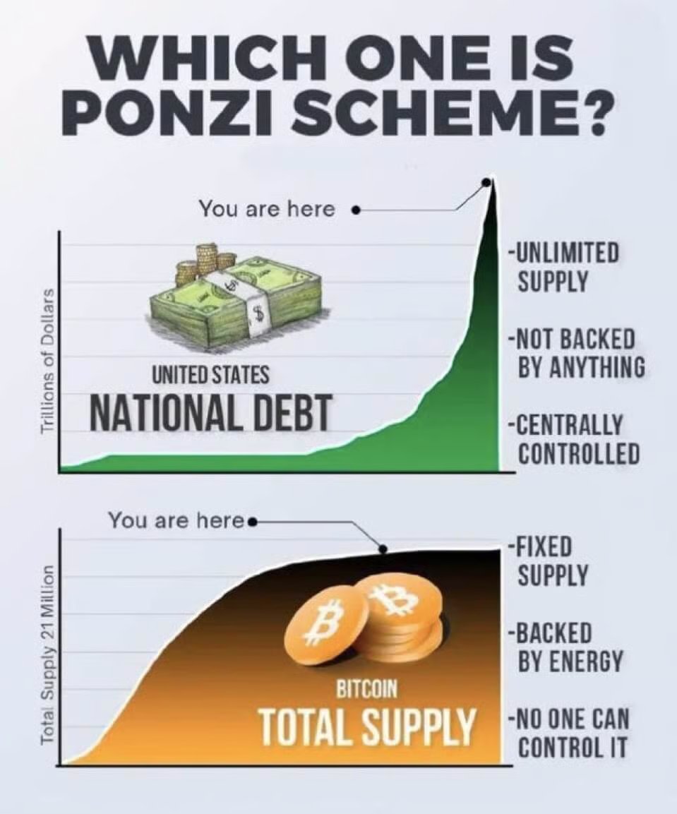 Crypto Nutshell tweet media