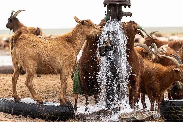 Зуны дунд сарын шинийн 8-ны мэнд дэвшүүлье. Ажил үйлс нь өөдрөг бүтэмжтэй байг 🎈