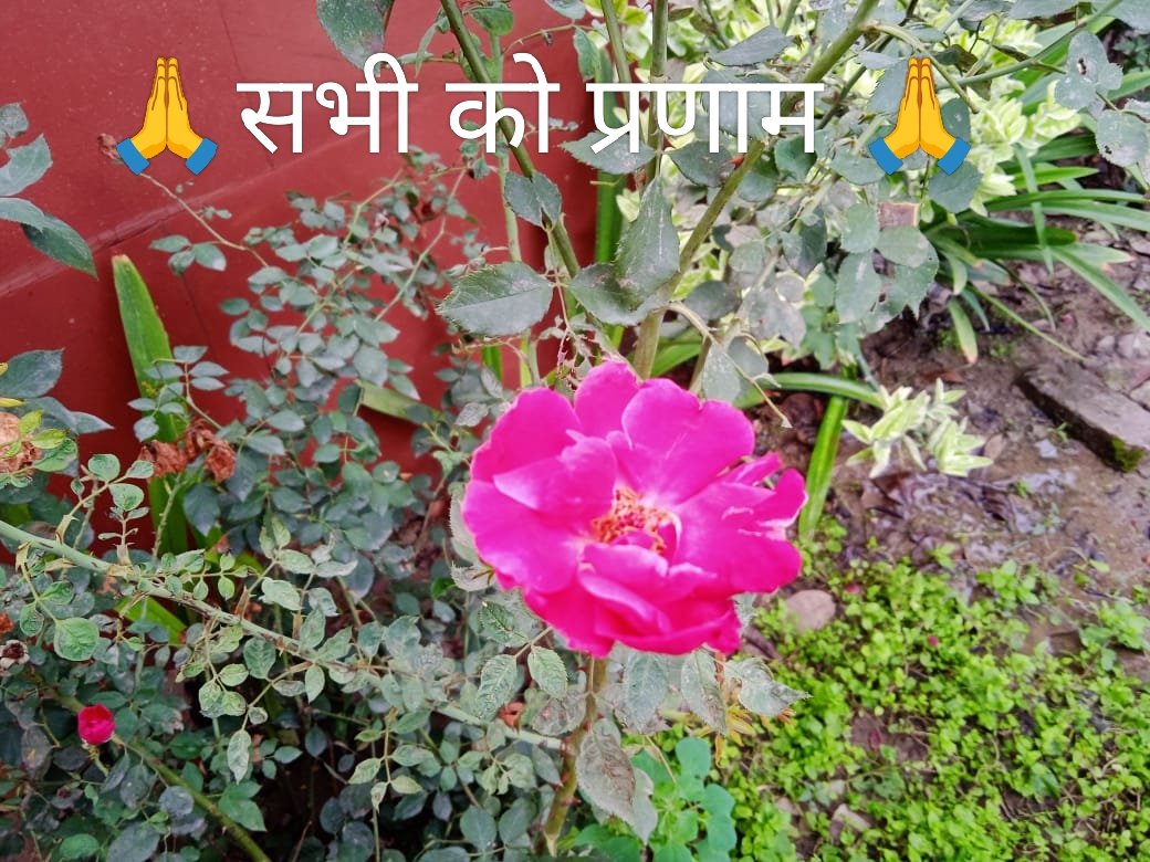 फूलों की खुशबू, हवा की शीतलता, पंछियों की चहक, सभी को हर पल में जिंदगी का आनंद लेना चाहिए।🙏
#सुप्रभात_वंदन
🙏🙏Good Morning 🌄🌄🙏🙏