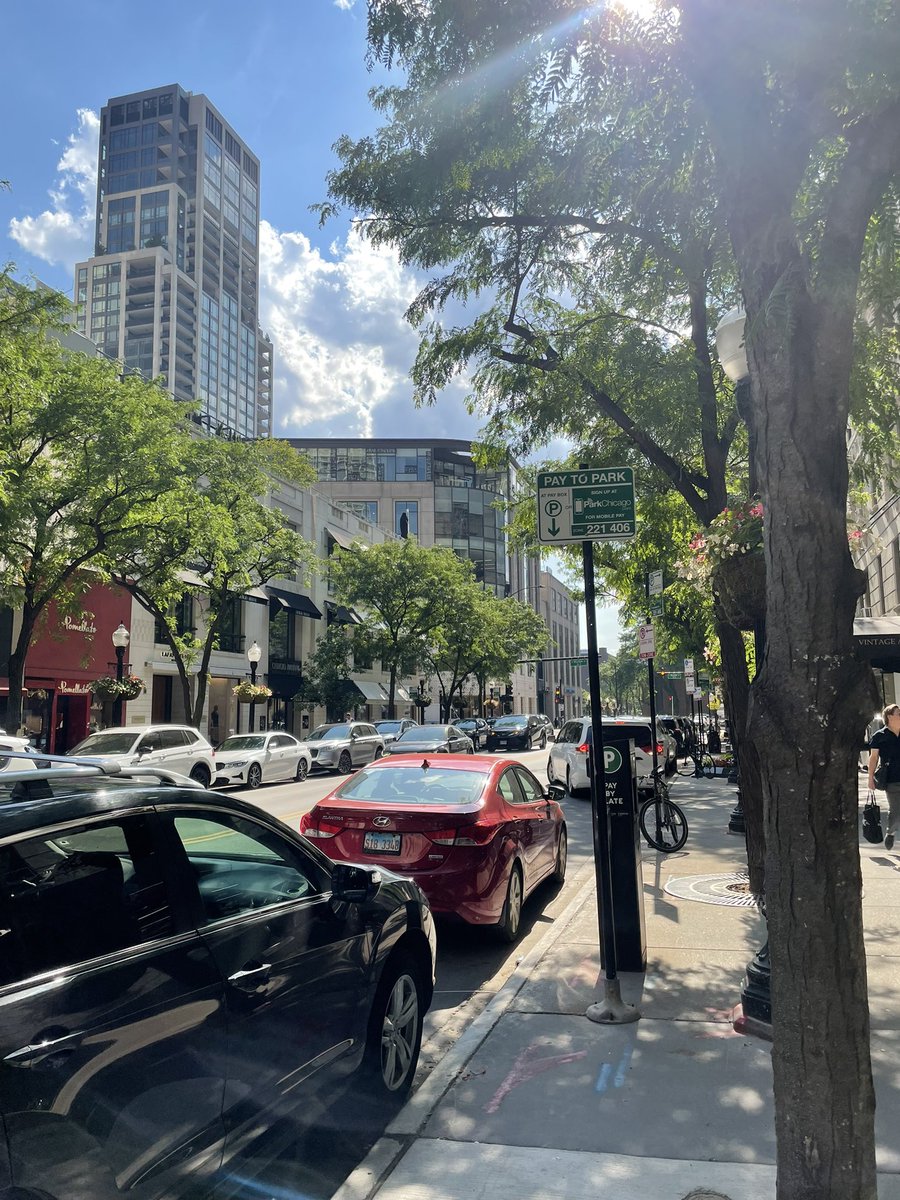 sirperignon's tweet image. walking around oak st cosplaying as a rich person