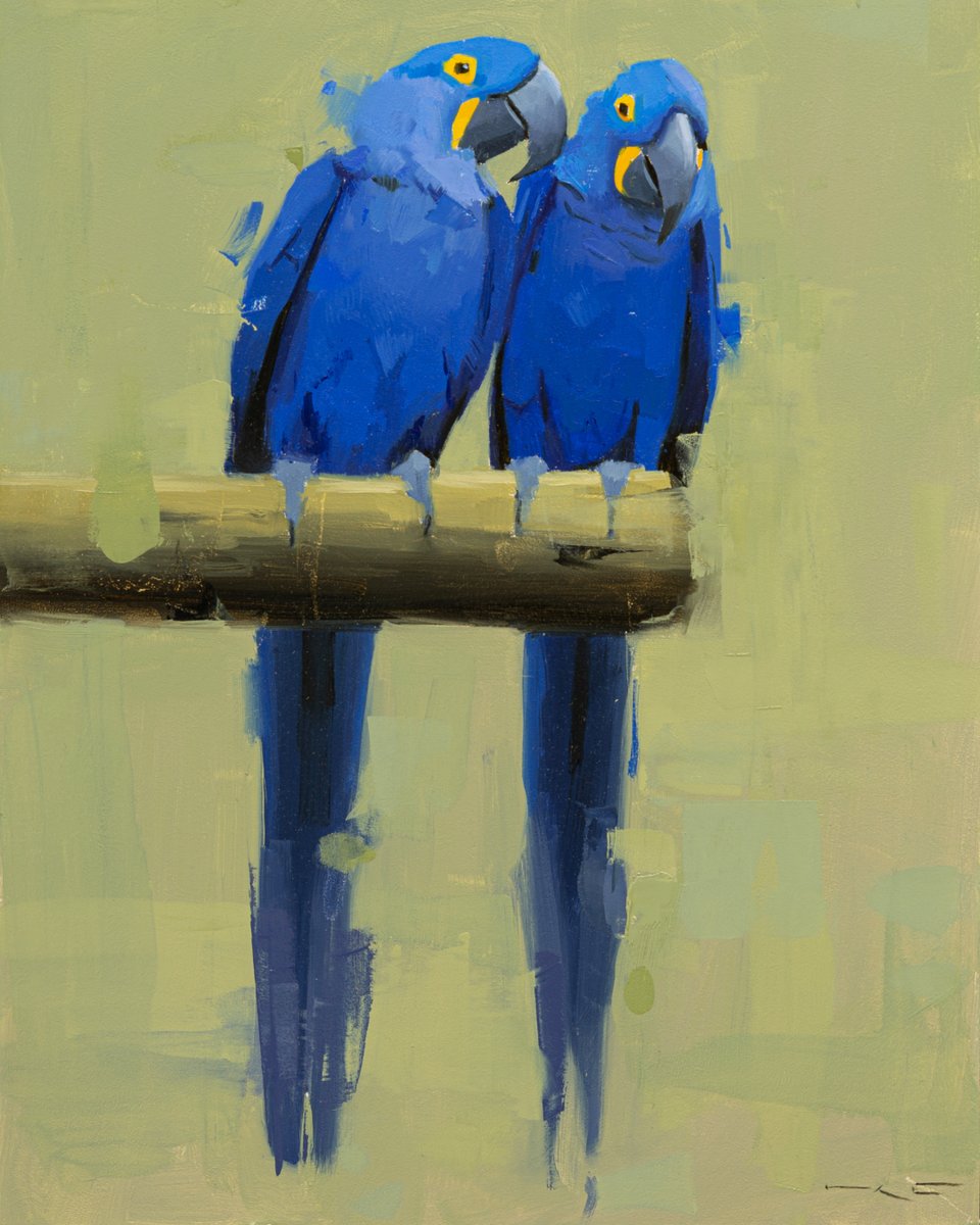 “Blue Macaws” by Thorgrimur Einarsson captures a quiet moment in bold color.

Part of Through the Natural Lens, opening July 19.

PREVIEW SIGNUPS
Tap the link in our bio to join the preview list.