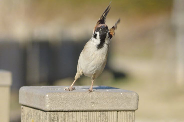 귀엽고 멋있잖아.
