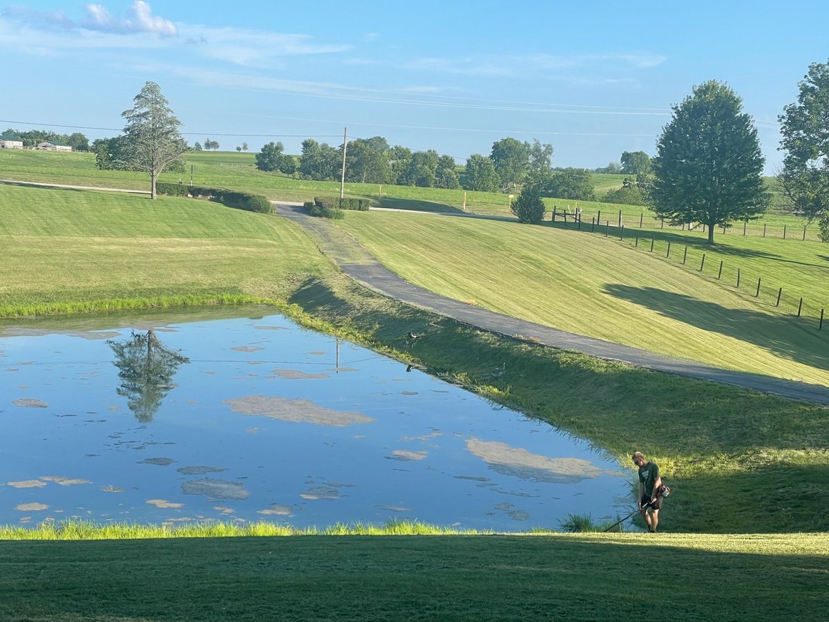 Tidy yard! ✅ Chore list just got shorter. Blessed to call this home!
Exodus 20:12, Proverbs 24:3-4

#cabacabin