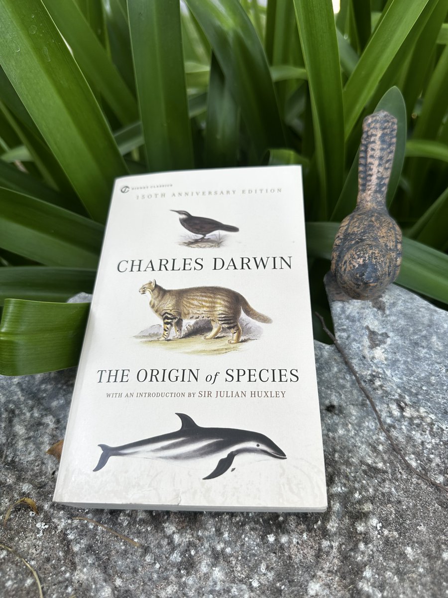 Time to finally read this Book from my Bible’s True Testament, The Origin of Species by Charles Darwin, all 507 pages.

P.S. My "Bible" has neither an “Old Testament” nor a “New Testament,” just a “True Testament” which includes “The Book of Newton” (Issac Newton’s Philosophiae