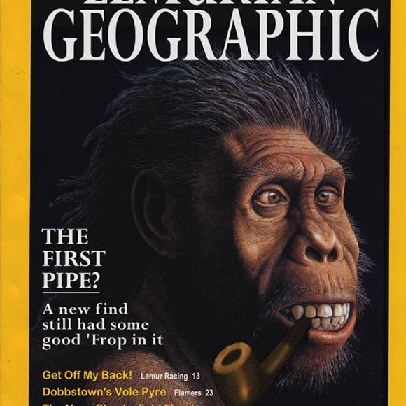 Is this what you voted for?