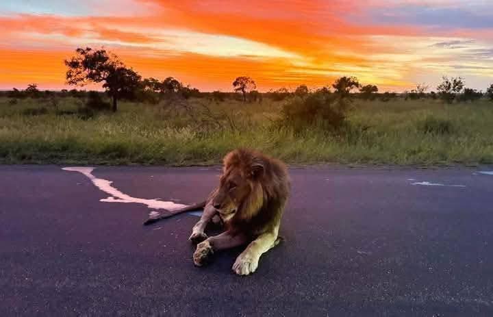 Tanzania 🇹🇿  &amp; Zanzibar