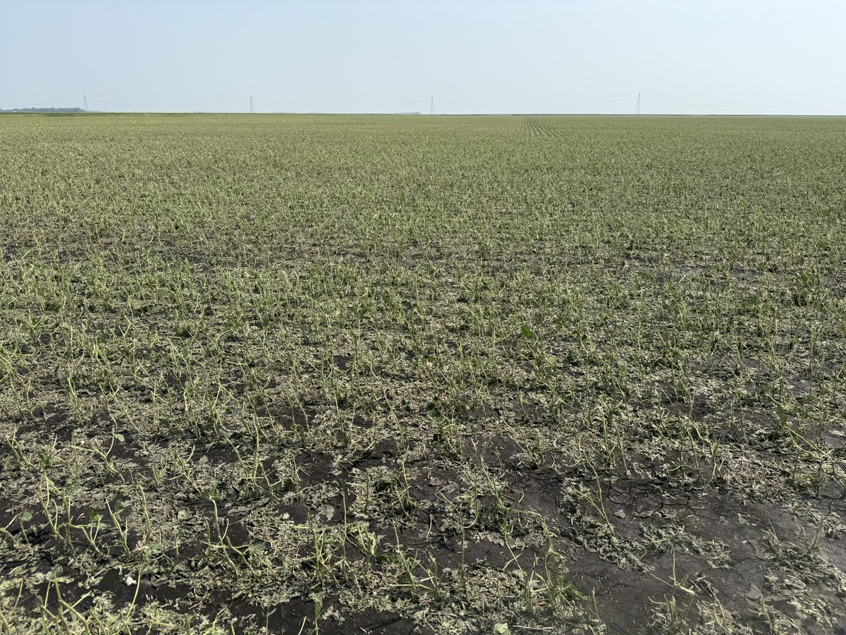 Jason Voogt CCA, PAg tweet media