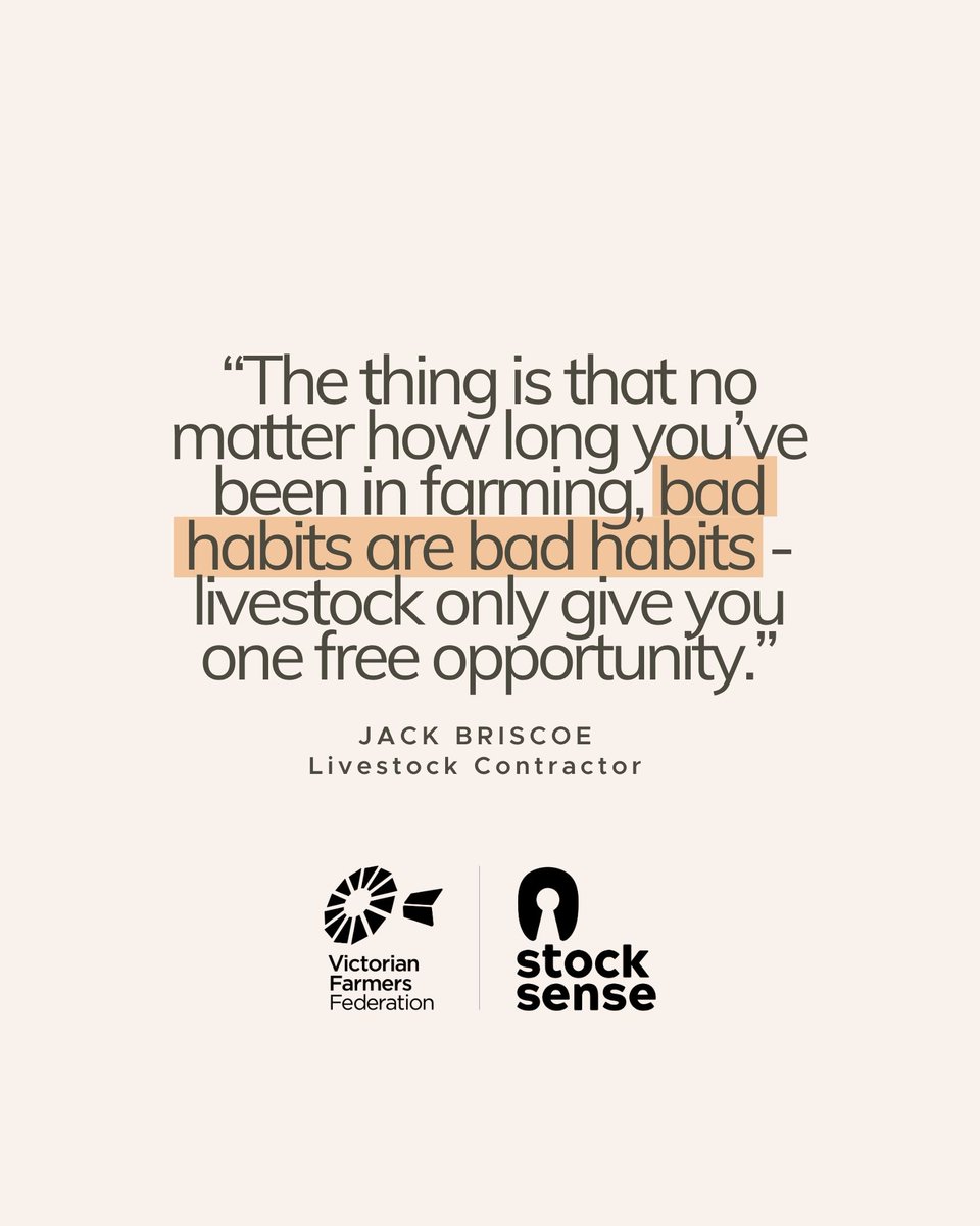 VFF Stock Sense (@vffstocksense) on Twitter photo To discover more of @jack_briscoe101 first class stock handling knowledge, make sure you register for our Yea Workshop, which is now less than a week away!
Sign up for FREE today 🐑🐄🐐
zfrmz.com/9C6L07HqsTqPWa… To discover more of @jack_briscoe101 first class stock handling knowledge, make sure you register for our Yea Workshop, which is now less than a week away!
Sign up for FREE today 🐑🐄🐐
zfrmz.com/9C6L07HqsTqPWa…