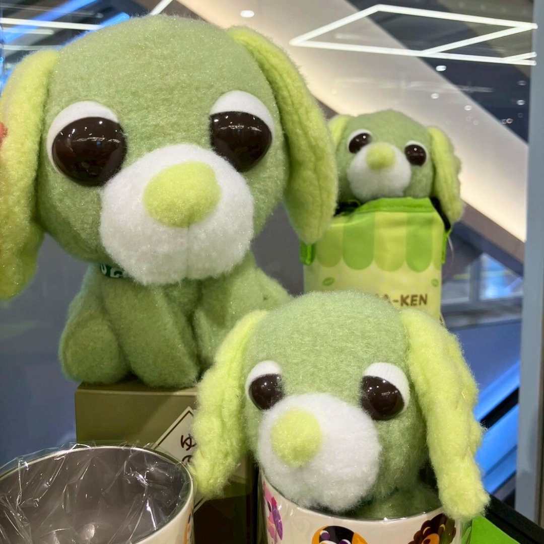 お茶犬 POP UP SHOP 神奈川県でオープン🐶🍵 ｡.ꕤ‿‿‿‿‿‿‿‿ꕤ