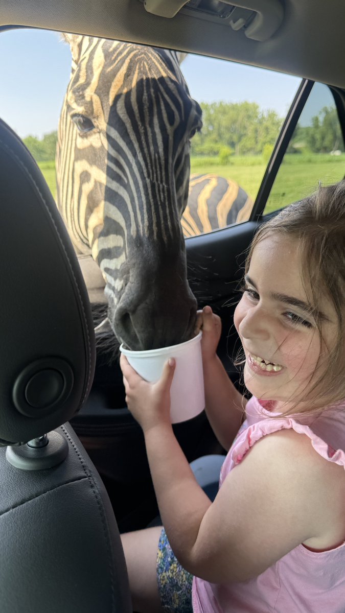 SharkWitLasers's tweet image. This was a ton of fun!!
Animal safari!!! 🦬 🥰