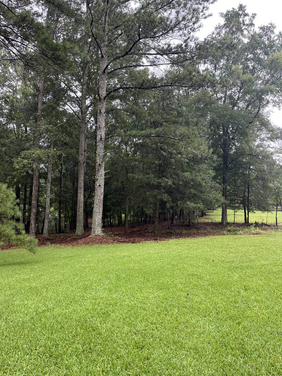Always so satisfying and rewarding getting to help clear and clean peoples properties up. 

Customer reached out 2 months ago and the rains held us back since then, last weekend we were finally able to get it completed. 

Ended up looking great!