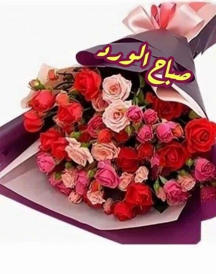 " وأشرقت الأرض بنور ربها "

اللهم أزهـر أيَّامنا بِـ رضاك ٠٠🕊️
وبَشرّنَا وأسعِد قُلوبنا بتحقيق
الأمنيات يا رب العالمين .❤︎

صـباح الــورد 🌹❣️🌹

.