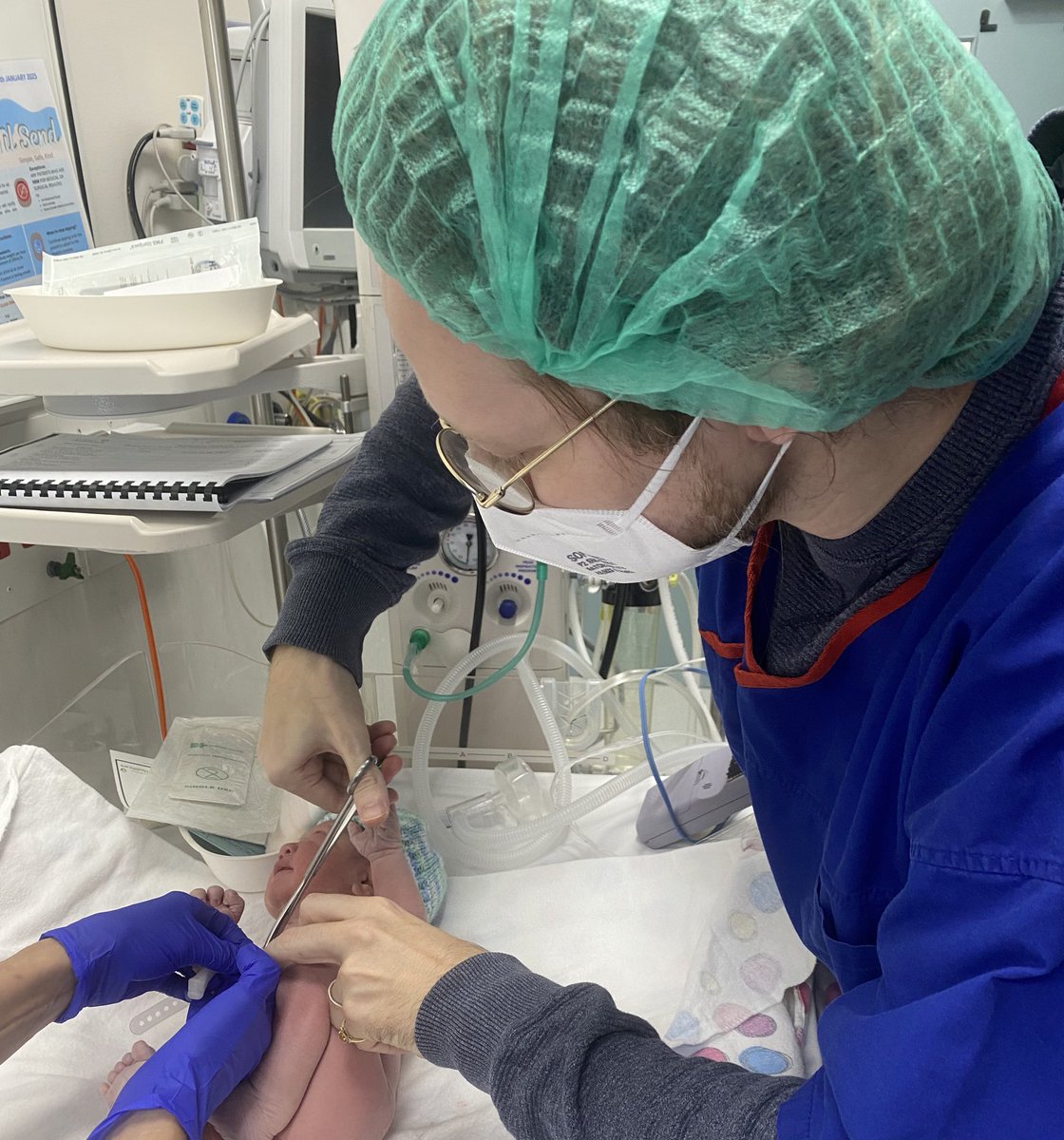 Excessive Profanity tweet media