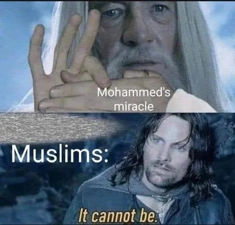 🤣🤣