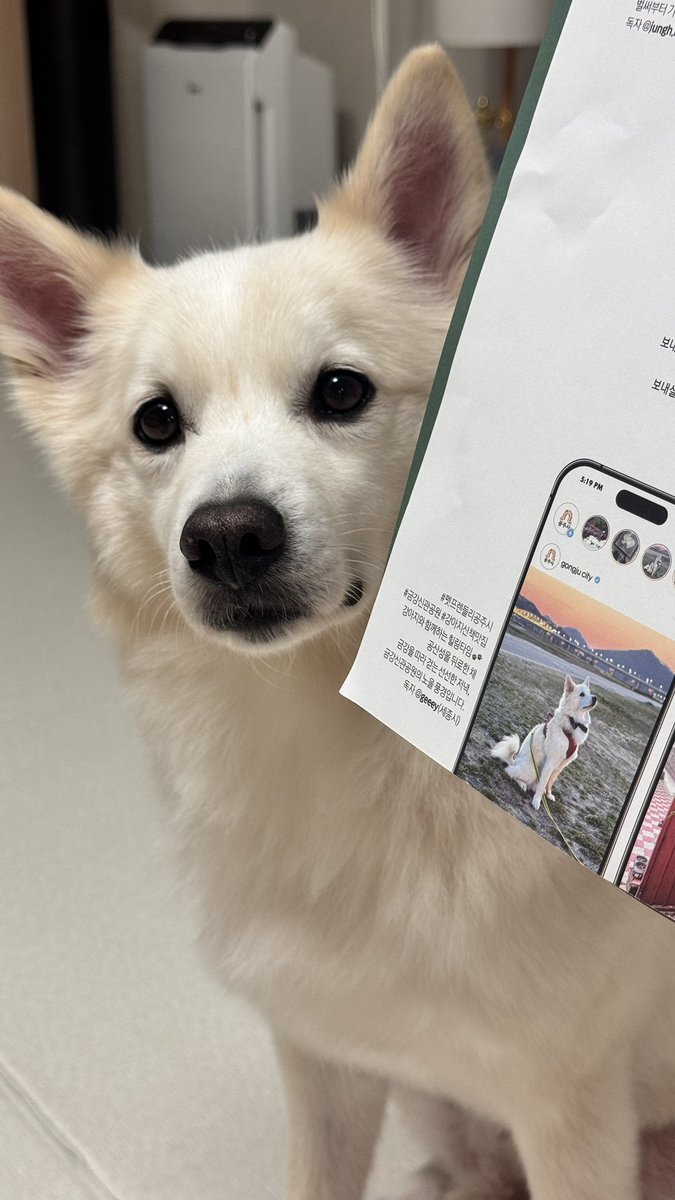 🦭 : 흥미진진공주 7월호에 등장한 채소씨! 지금 기분이 어떤가요?
🐕 : __.---.__ . . ____ . ! .