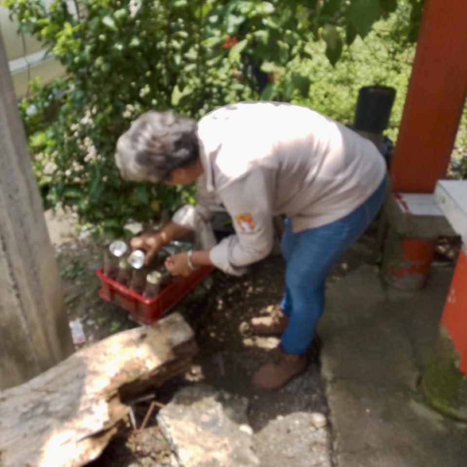 Salud_Hidalgo's tweet photo. En la localidad de #Nexpa, #Orizatlán, personal del área de Vectores de la Jurisdicción Sanitaria #Huejutla realizó acciones de control larvario y eliminación de criaderos, con el objetivo de frenar la reproducción del mosquito Aedes aegypti 🦠. https://t.co/KEzfNNhJoF