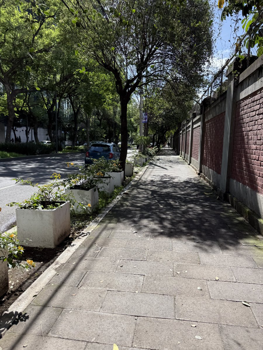 Buenas tardes, nuevamente solicitando su ayuda para el retiro de gallardetes de inmobiliarias, en cervantes saavedra, lago tangañica y lago bangueolo. Mucha seguridad y en que momento los cuelgan <a href="/mauriciotabe/">Mauricio Tabe Echartea</a> <a href="/MHcesac/">MH CESAC</a> <a href="/locatel_mx/">@locatel_mx</a>