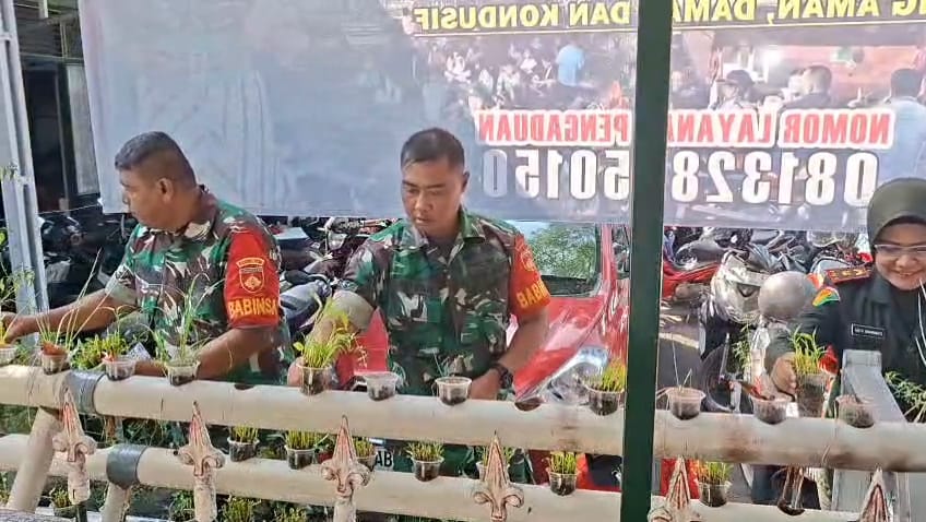 Koramil 11/Kraton Melaksanakan Peremajaan Tanaman Untuk Ketahanan Pangan
korem072.tni-ad.mil.id/koramil-11-kra…