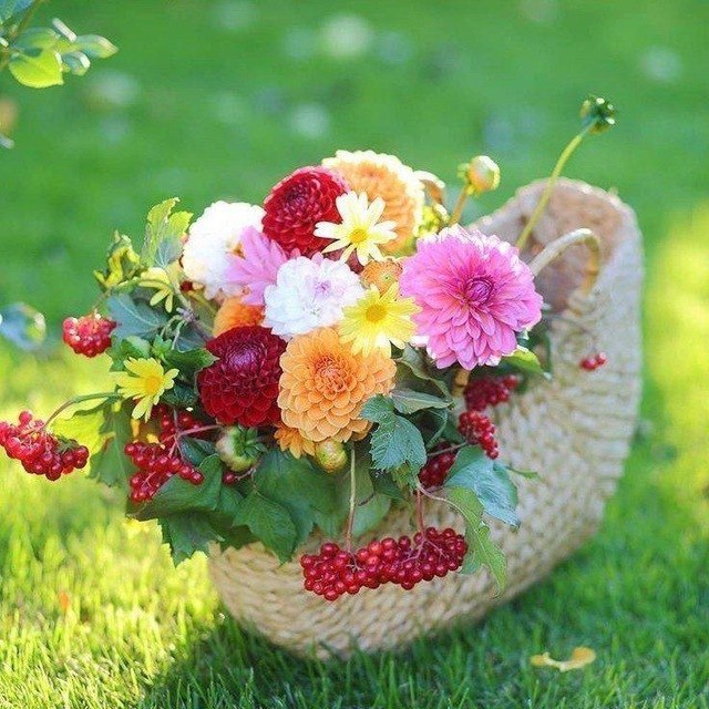 🌸صباح الخير🌸

اسأل الله أن يسعد قلبي وقلوبكم 
بالخير والمسرات والعافية الدائمة
وأن يبارك في أيامكم وأعماركم

🌸صباح السعاده لقلوبكم🌸