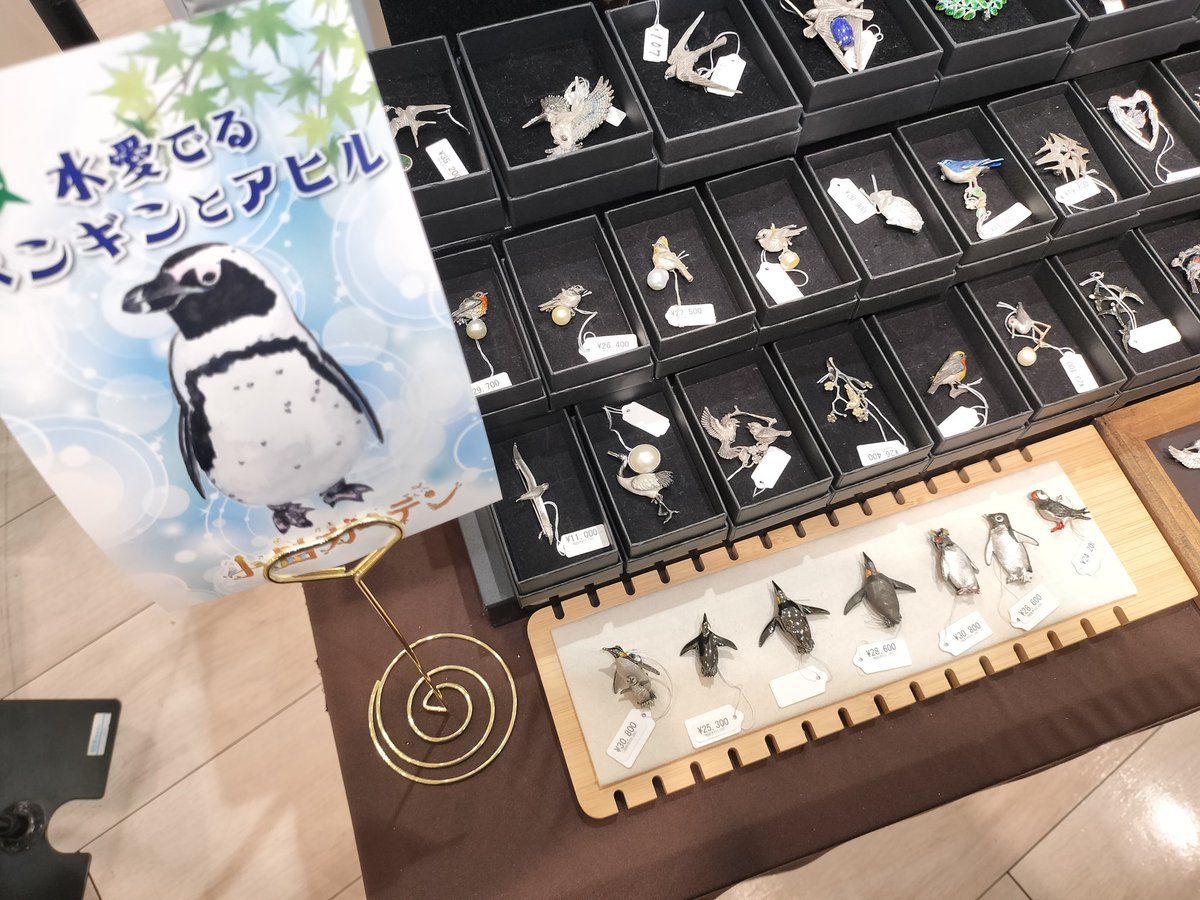 ＃小鳥ガーデン 2日目始まってます。ペンギンも色々揃えましたよ！