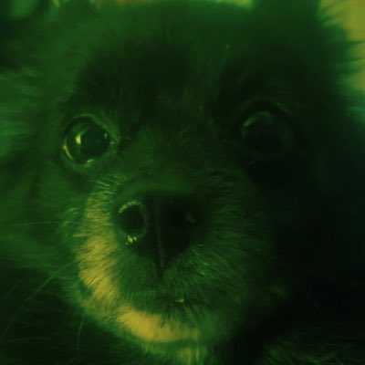 scud || SAW PTV! tweet media