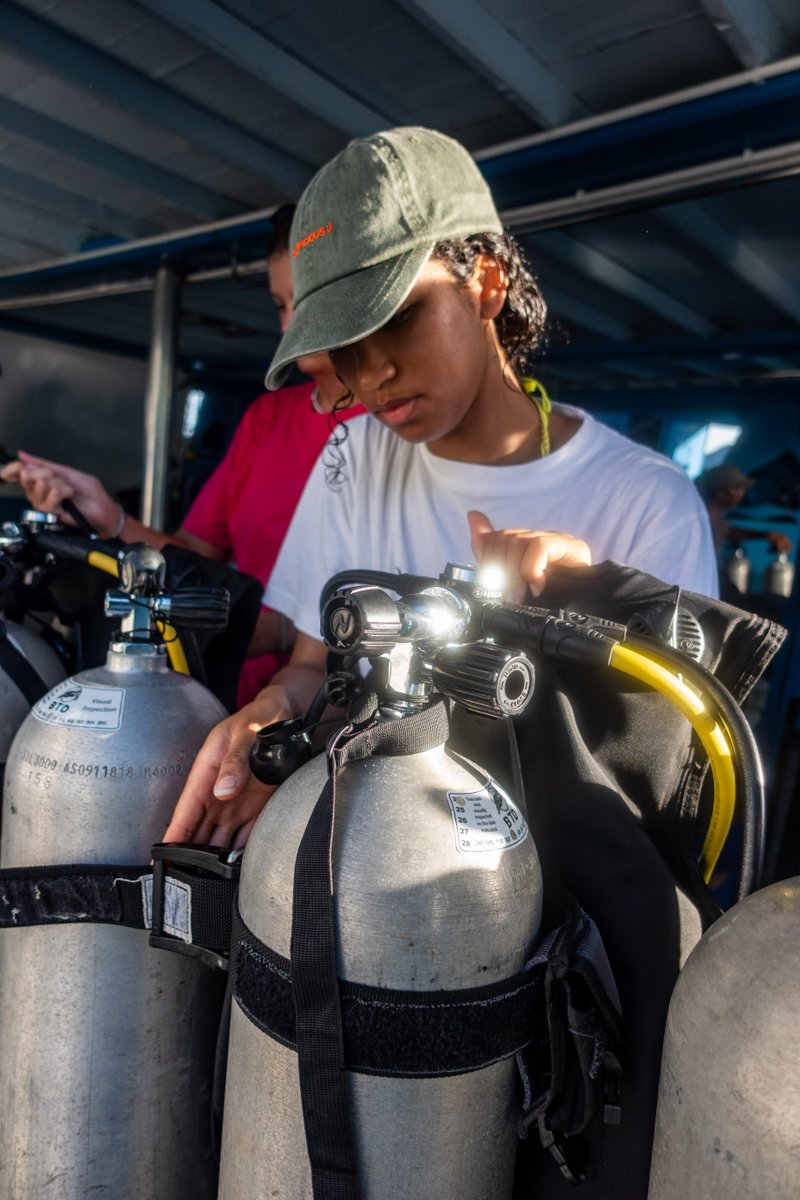 GoProIDCKohTao's tweet image. As a PADI Equipment Specialist Specialty Instructor you will teach your student divers about routine care, maintenance and proper storage of scuba equipment. idckohtao.com/equipment-spec… #PADI #Equipment #Speciality #KohTao #Thailand #Instructor