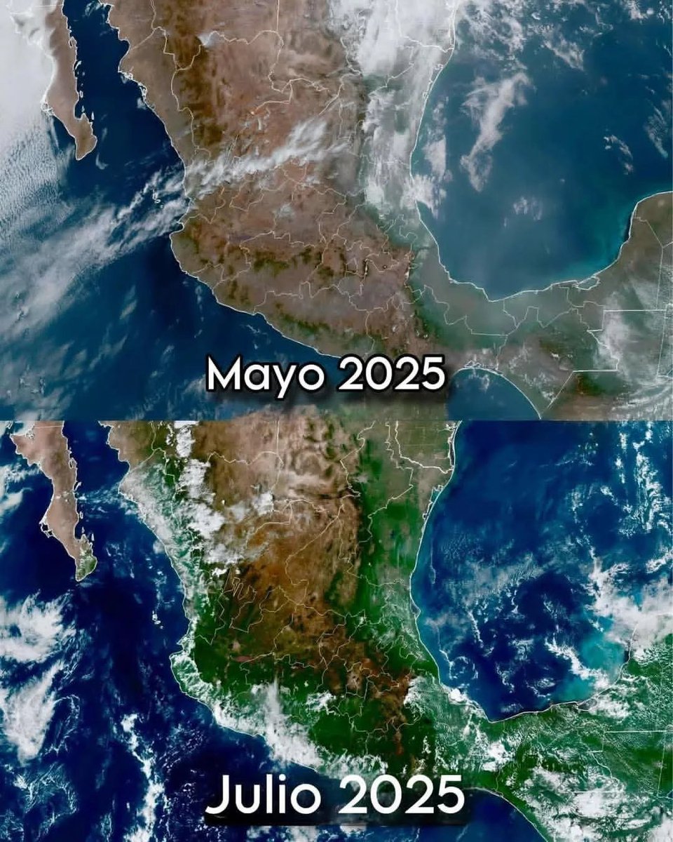 Enséñame de Ciencia tweet media