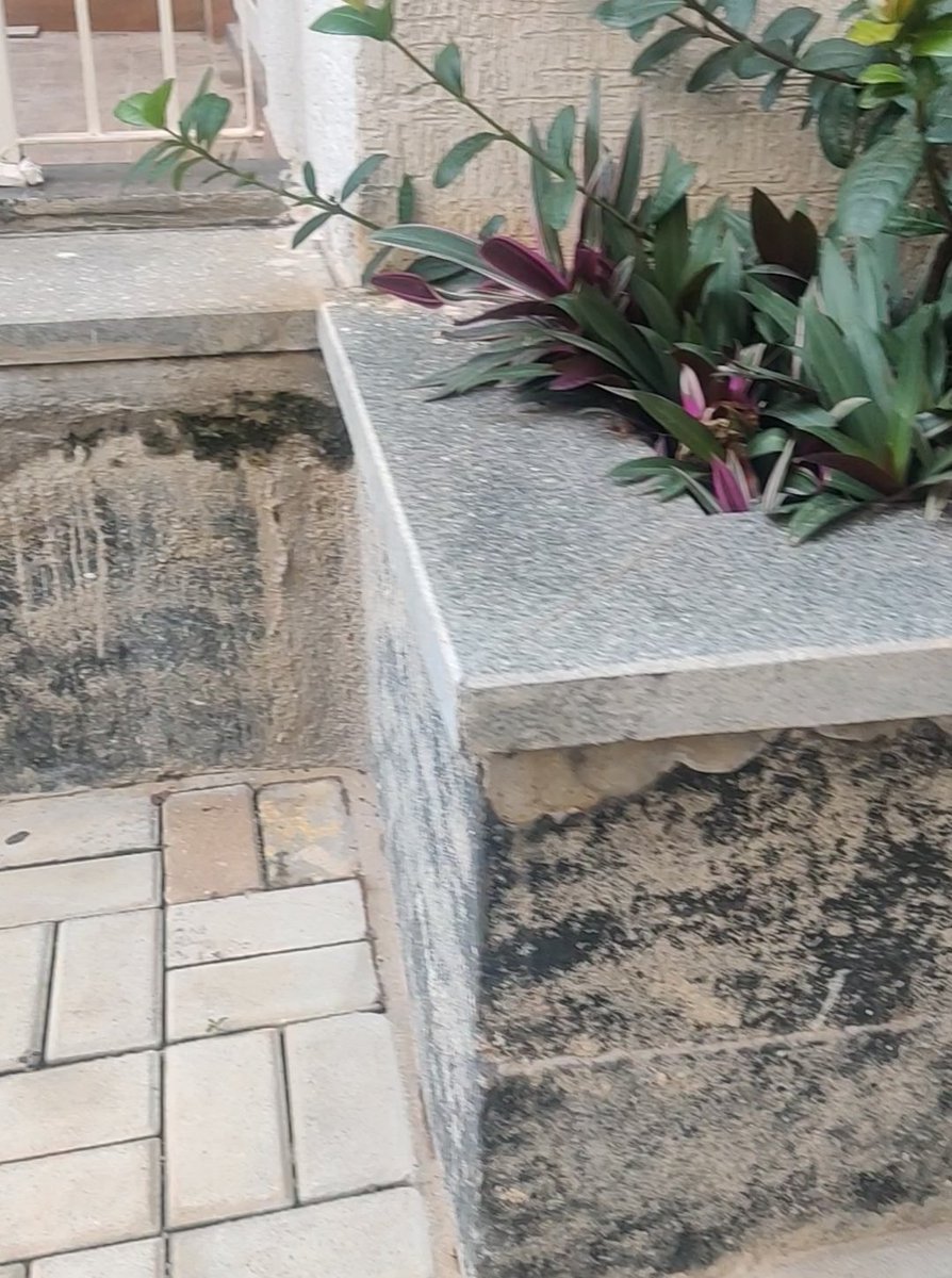 MyOpinion4IND's tweet image. @LnTRealty can be ranked first on #CustomerLast, #QualityLast. These images are testimonials of their delivered quality at a luxury residential project in Bengaluru.
