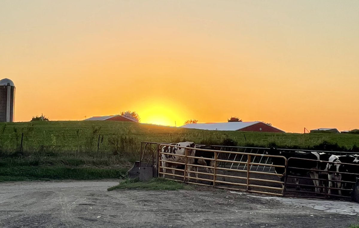 johndeeredr's tweet image. View from the barn door…