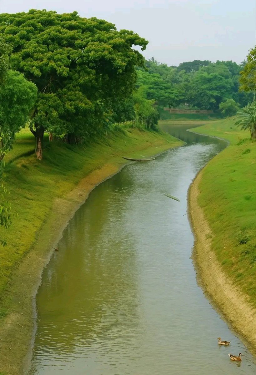 सुकून इसे कहते हैं, जहां मन को सुकून मिले 
सुप्रभात 🌄