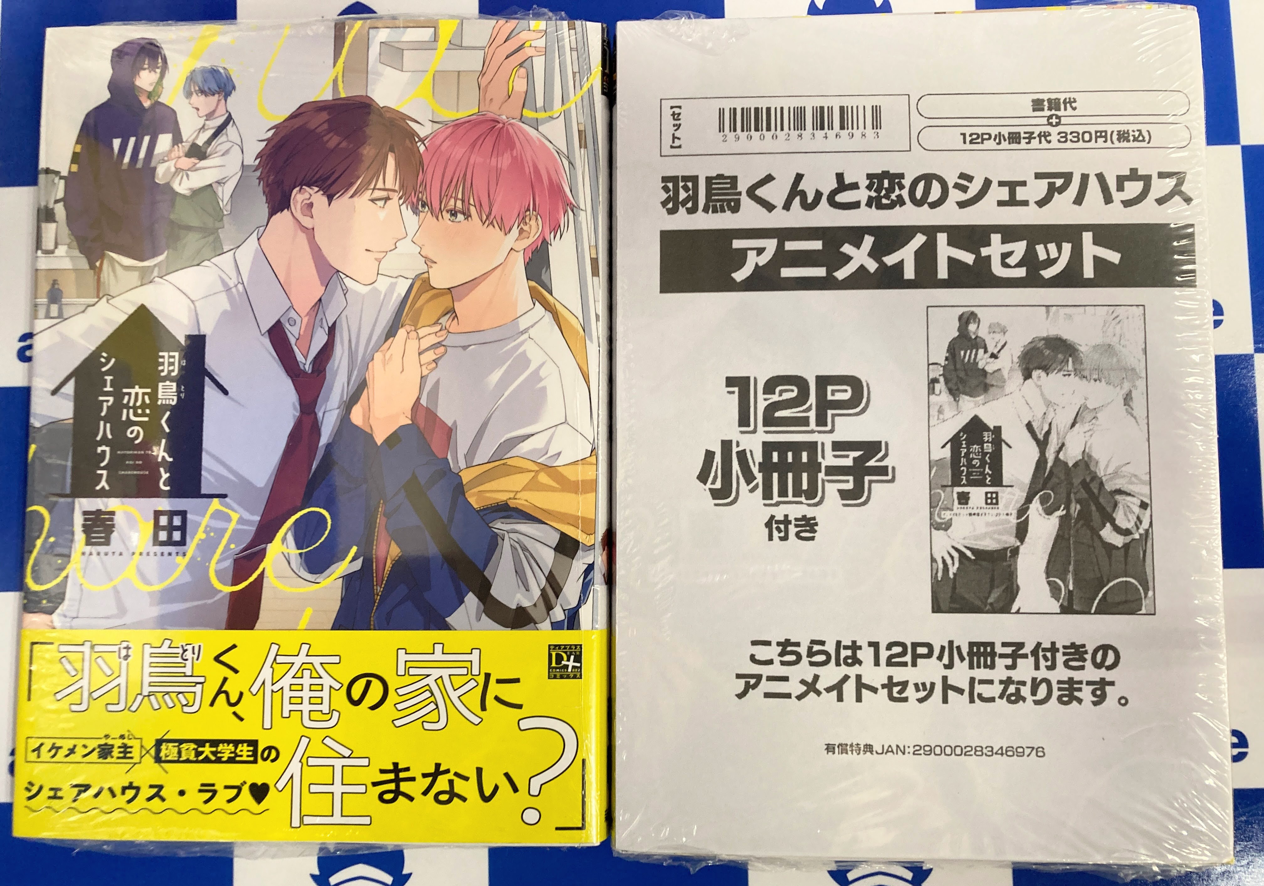 人気特価 アニメイト特典付き セット 漫画 BL 25冊 メルカリ