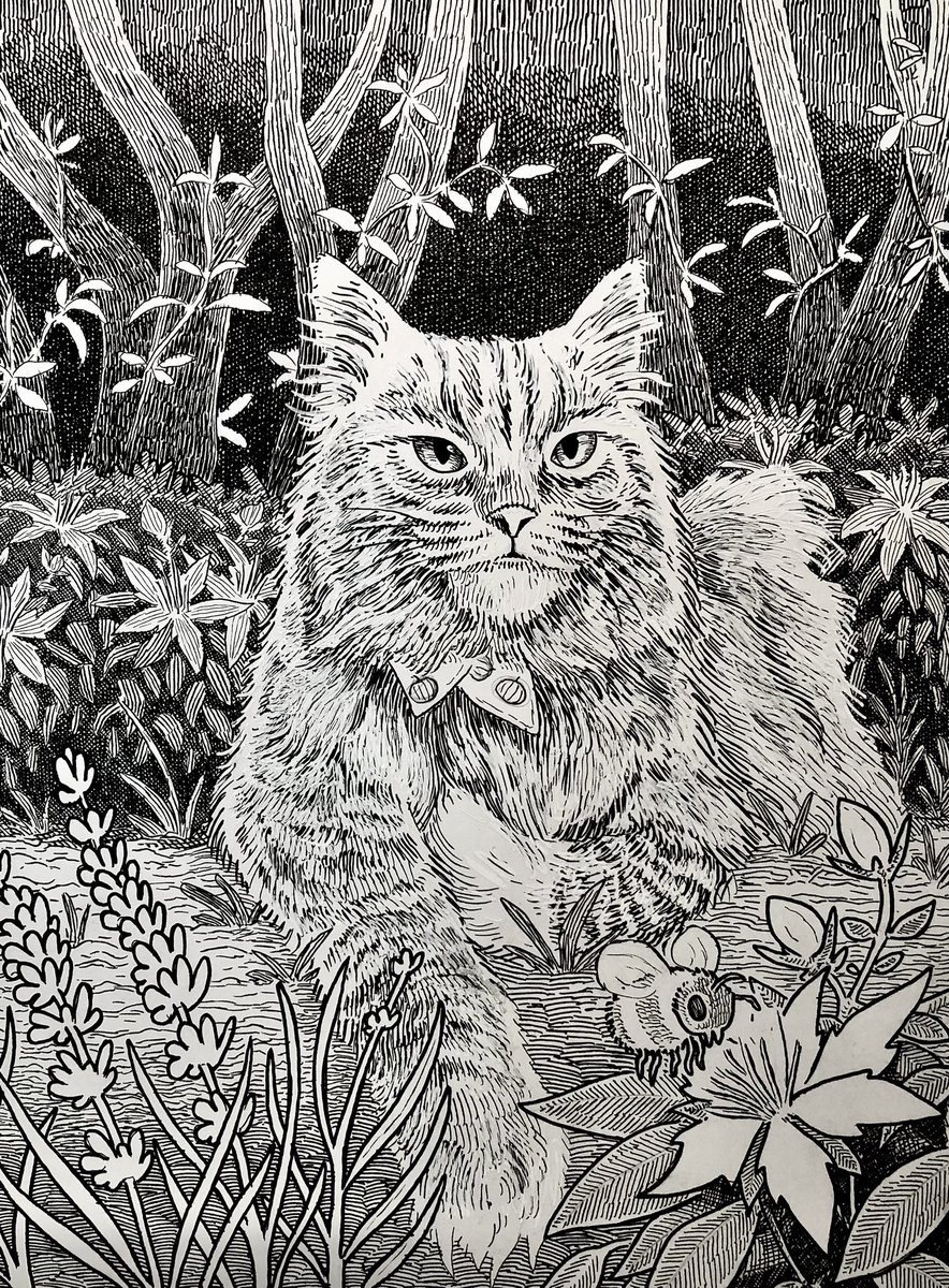 Personal pet commissions
If you want me to draw you furry friend dm or email me for price ranges.