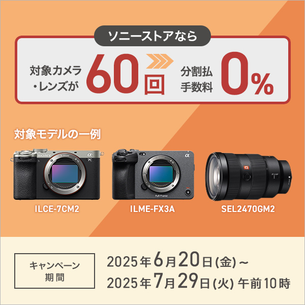 SONY - a6600 動画フルセット割　バラ売り可　おまけ多数　早い者勝ち ネット予約｜東京オフラインセンター