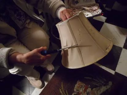 We just solved your worst pest problem—with a lampshade hometalk.com/l/n0BY