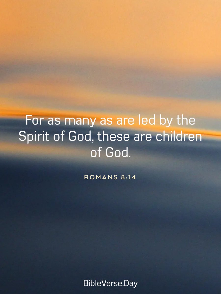 NightShade 🌓 (@nightshade1776) on Twitter photo 