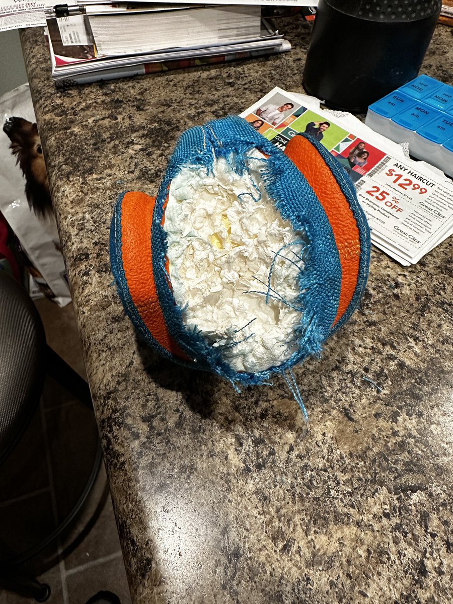 larryc78288951's tweet photo. @chuckittoys I have  had this for my 8  lb dog and after two months she had destroyed it don’t know if I can buy another one if they only last for 2 months https://t.co/Z6jBJyUlTo