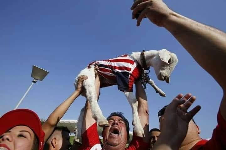 <a href="/esportsChivas/">Chivas esports</a> ARRIBA MIS CHIVAS DEPORTES ELECTRONICOS VAMO POR ESTE ASCENSIOOOONNNN