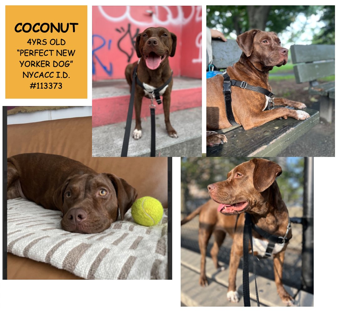 Tootsismyname🏴‍☠️ tweet media