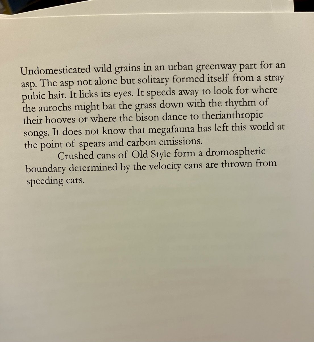 “Undomesticated wild grains in an urban greenway part for an asp. The asp not alone but solitary formed itself from a stray pubic hair.”

Nicholas Alexander Hayes’ IN GREEN CARNATIONS will ship next week!  Link to shop in bio.  

<a href="/Broken_Zipper/">Nicholas Alexander Hayes</a>