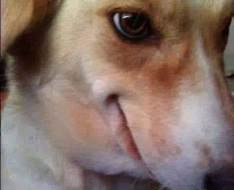 ✟Polette Miedo ✟ 🖤👻 tweet media