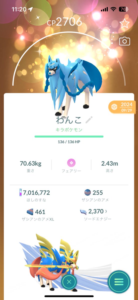 金の王冠どっちかかな！
どっちも大切なフレンドにもらったお気に入り
背景付きの色ザシアン出るまで粘らなかったのは少し後悔😞