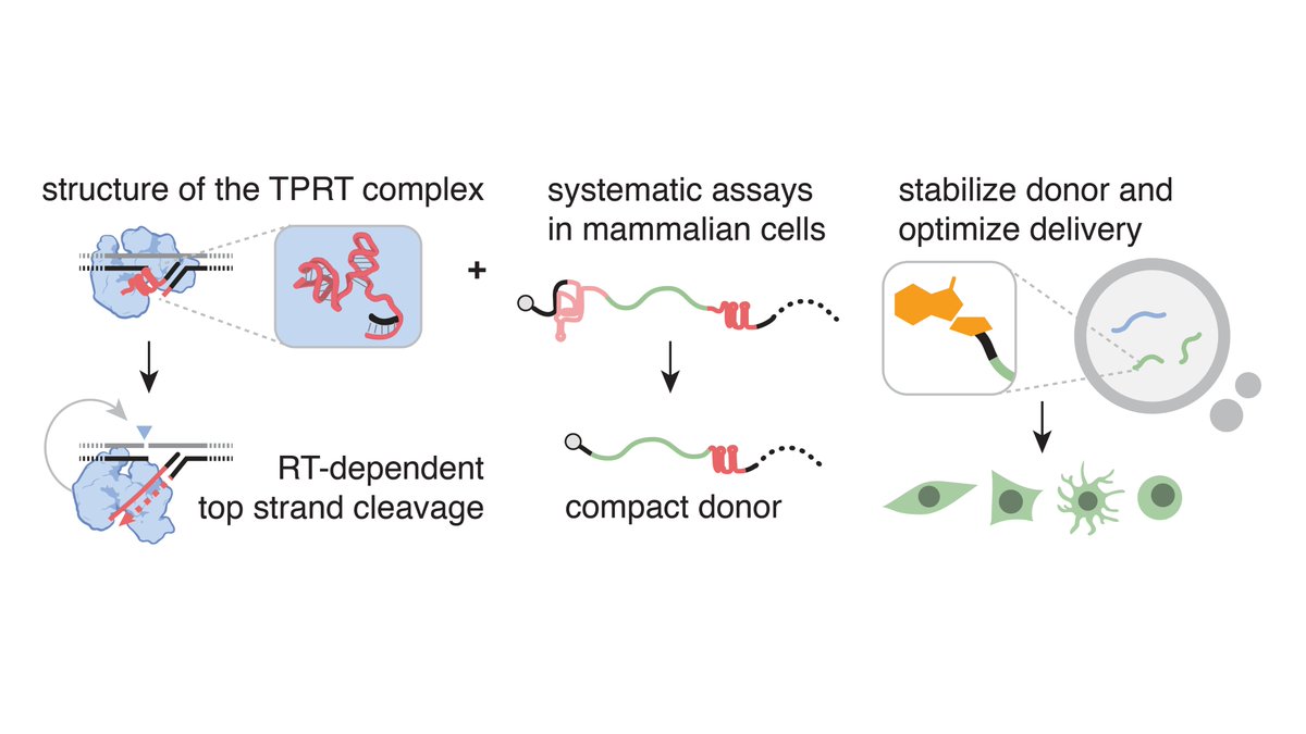 Huan Edmonds tweet media