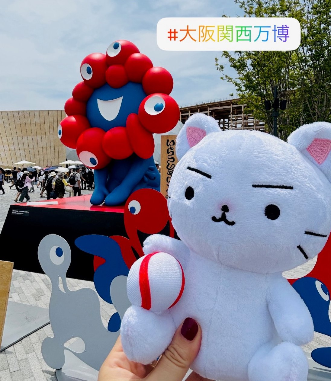 猫ピッチャー　1～18巻　全巻 猫ピッチャー 18 (コミックス) | そにしけんじ | マンガ