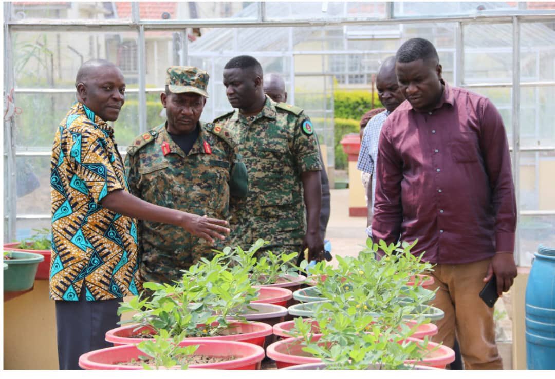 Cde. Bruce Musimenta (@pamoja_ed) on Twitter photo 🇺🇬 THE OPERATION WEALTH CREATION STORY: UGANDA’S BLUEPRINT FOR RURAL TRANSFORMATION.
When Gen. Salim Saleh spearheaded the launch of Operation Wealth Creation (OWC) in July 2013, many thought it was just another <a href="/GovUganda/">Government of Uganda</a> program. But what began as an intervention to distribute 🇺🇬 THE OPERATION WEALTH CREATION STORY: UGANDA’S BLUEPRINT FOR RURAL TRANSFORMATION.
When Gen. Salim Saleh spearheaded the launch of Operation Wealth Creation (OWC) in July 2013, many thought it was just another <a href="/GovUganda/">Government of Uganda</a> program. But what began as an intervention to distribute