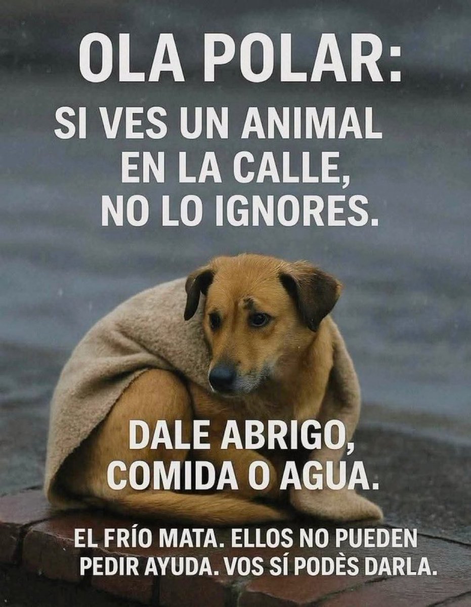 Clarita Balza tweet media