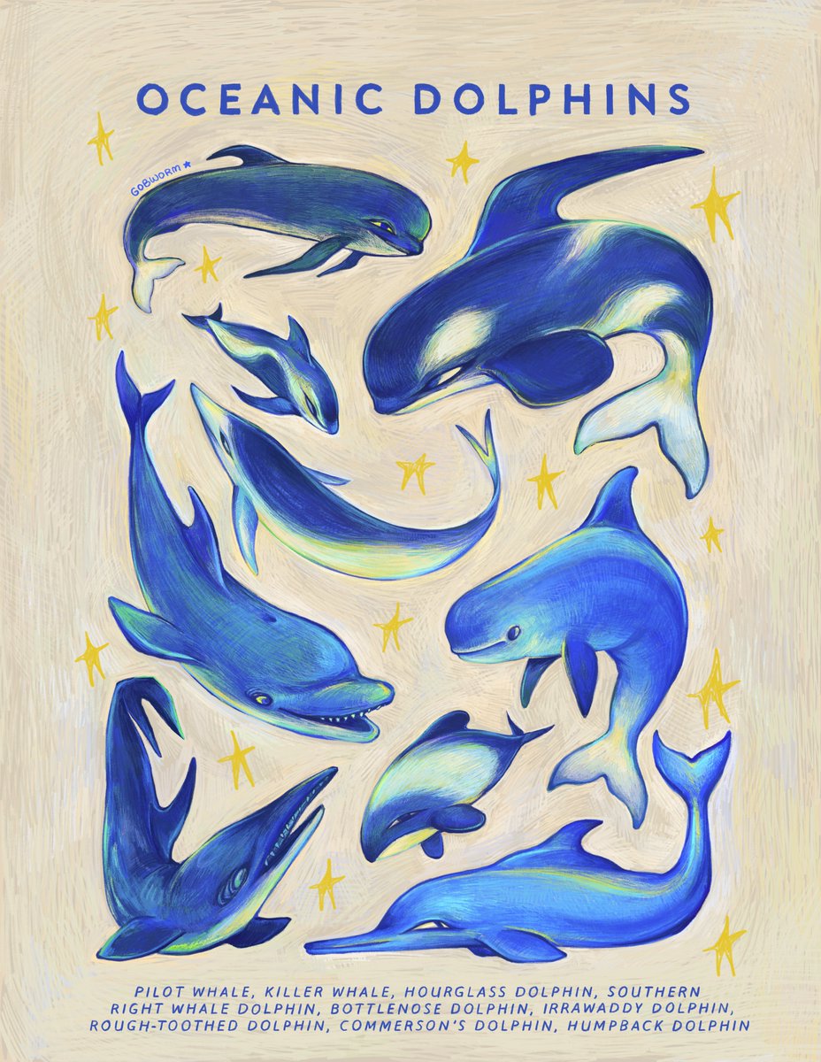 gobwormshop's tweet image. i &amp;lt;3 oceanic dolphins!